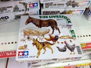 2012.10.3MG_6249.jpg