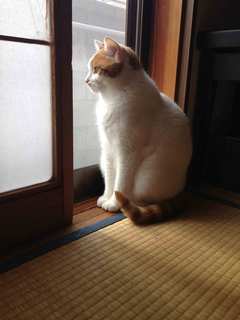 2012.11.4IMG_6701.jpg