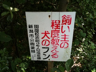IMG_1541.jpg