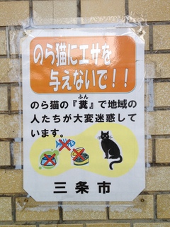 IMG_8873.jpg
