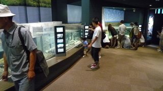P1040721.JPG