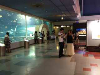 maIMG_3586.jpg