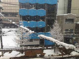 nagaoka_2012_1.jpg