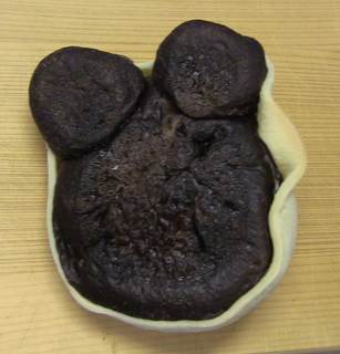panda_pan_2.jpg