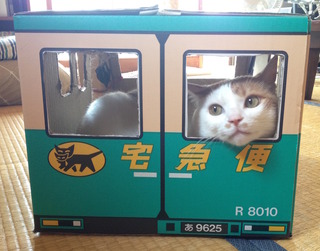 02IMG.jpg