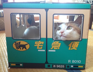 03IMG.jpg