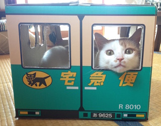 04IMG.jpg